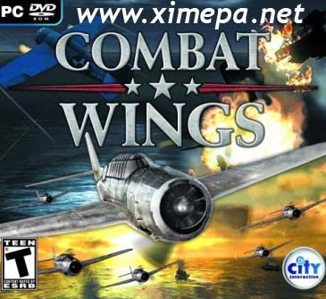 постер игры Combat Wings: Battle of the Pacific