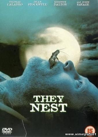 Скачать Нашествие тараканов (They Nest)