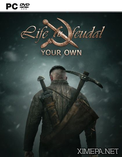 постер игры Life is Feudal: Your Own