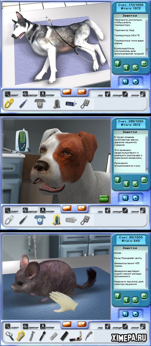 скриншоты игры Cat & Dog. Animal hospital