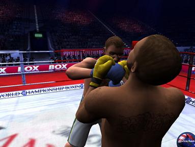 Boxsport Manager (2008/Рус)