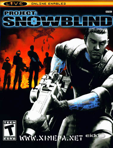 Скачать игру Project: Snowblind торрент бесплатно