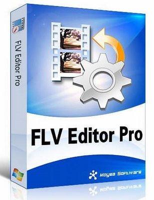 Скачать программу: Moyea FLV Editor Pro 3.1.14.0 Portable