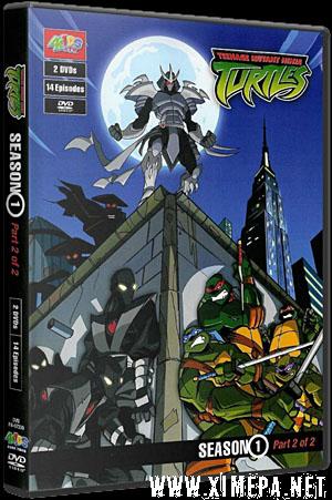 Мутанты черепашки ниндзя. Новые приключения! (Teenage Mutant Ninja Turtles) 2003|DVDRip|1 Сезон