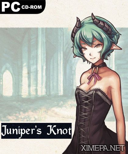 постер игры Juniper's Knot