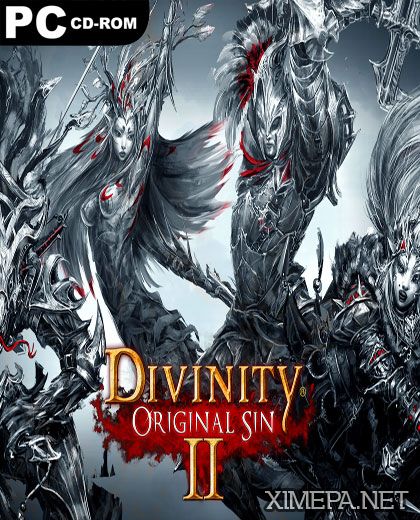 игра Divinity: Original Sin 2