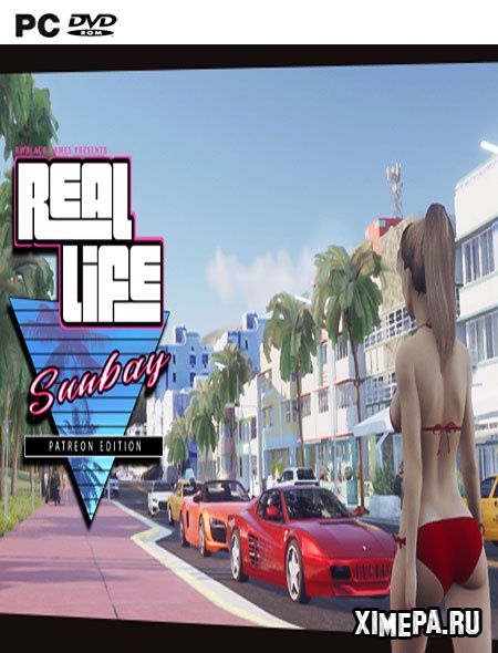 постер игры Real Life Sunbay