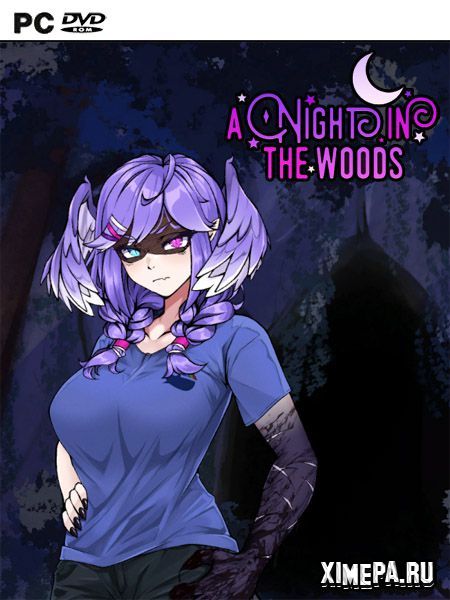 постер игры A Night in the Woods