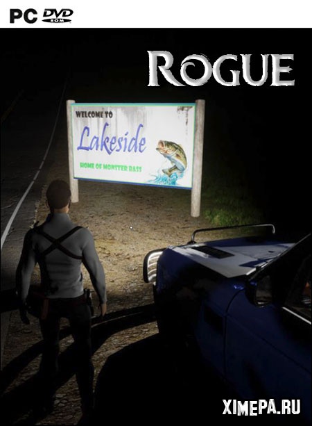 постер игры Rogue
