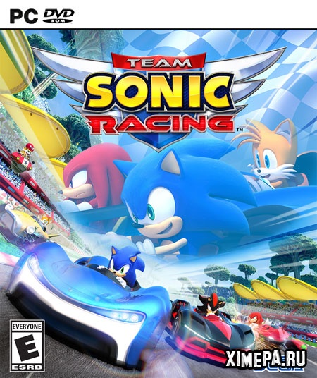 постер игры Team Sonic Racing