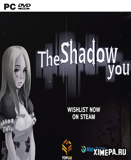 постер игры The Shadow You