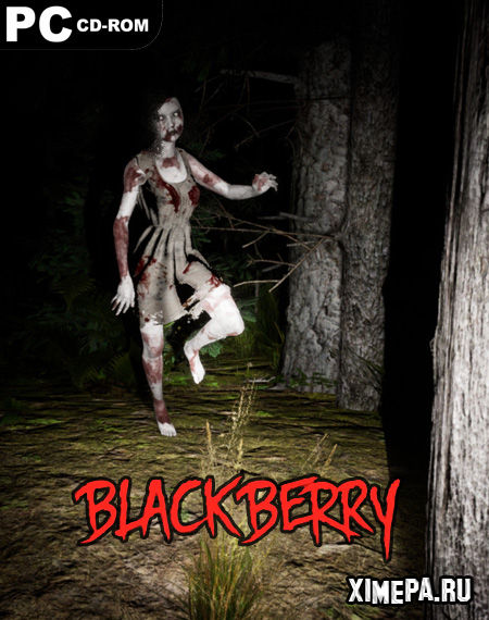 постер игры Blackberry