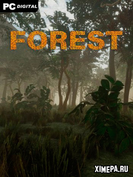 постер игры Лес / Forest