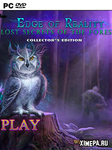 постер игры Край реальности 8: Утерянные тайны леса
