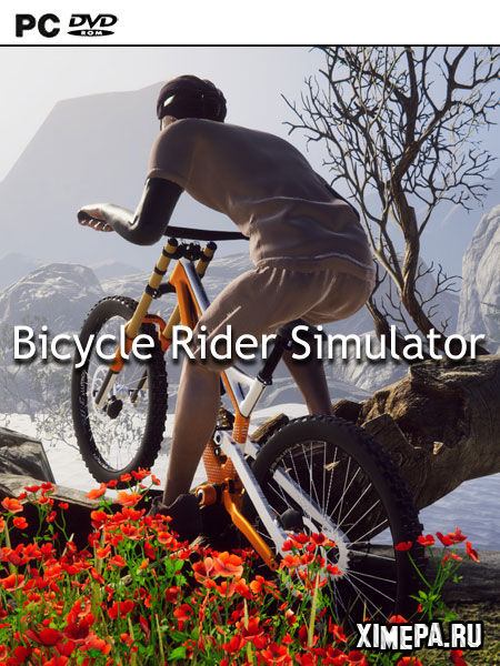 постер игры Bicycle Rider Simulator